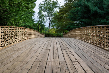 Wooden bridge in Central park in New York. 