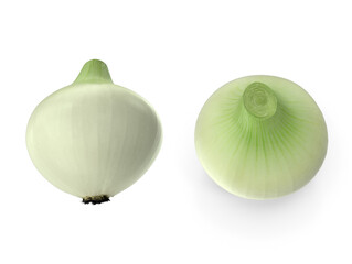 green onion isolated on transparent background
