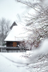 winter landscape in the village