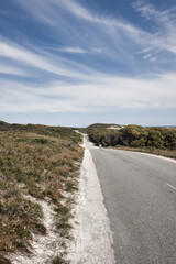 Street Rottnest Island, Australia	