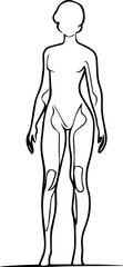 Straightforward vector illustration capturing a woman's anatomical form