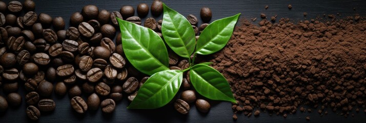 Texture background of ground and roasted coffee beans with green leaves, top view close-up
