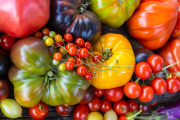 Colourful heirloom tomatoes on grey rustic background