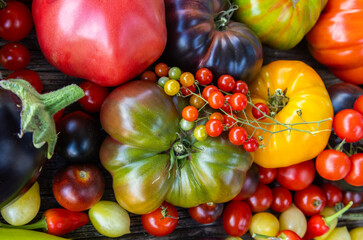 Colourful heirloom tomatoes on grey rustic background