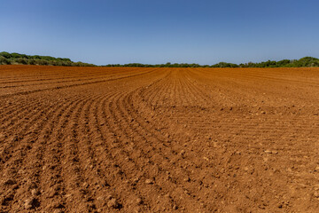 Agriculture in Croatia fertile soil drought no rain high temperatures