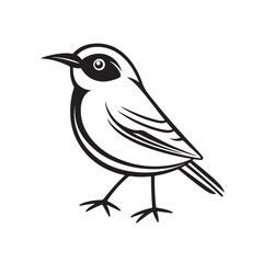 a bird that sits on a white background, in the style of black and white drawings