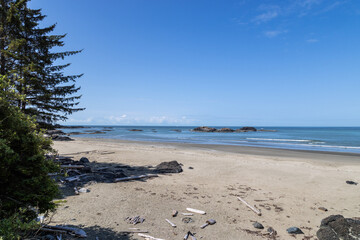 sandy beach in the summer