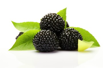 blackberries with leaves on white background