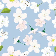 Seamless pattern with white flowers and pastel blue background for prints;
