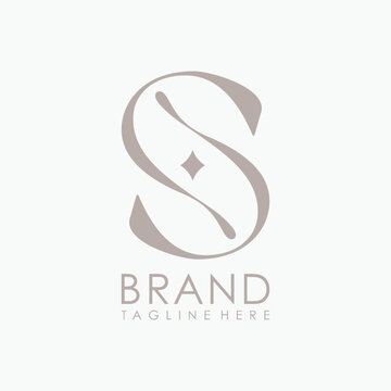 Unique lettering logo S company and icon business