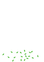 Fototapeta premium Greenish Greenery Background White Vector. Sheet Wind Illustration. Pure Frame. Light Green Growing Card. Leaf Flavor.