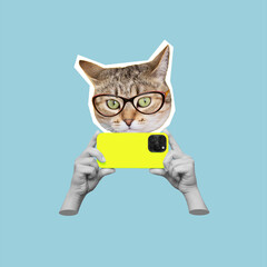 Cat's head in glasses holding yellow mobile phone with camera in hands taking a picture isolated on blue background. 3d trendy collage in magazine style. Modern creative design. Contemporary art