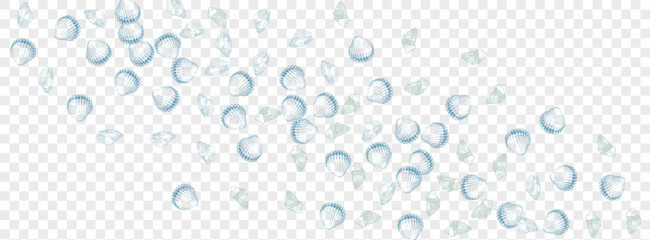 Fototapeta na wymiar Gray Snail Background Transparent Vector. Seashell Collection Set. Nautical Design. Blue Shell Abstract Textile Card. Ultramarine Clam.