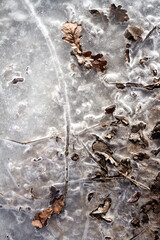 Spring ground covered with thawing snow