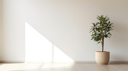 Fototapeta na wymiar plant in the interior with white empty wall.Generative Ai