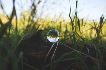 A glass lens ball reflecting a landscape in Ontario, Canada.