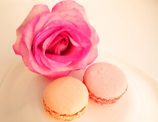 Macaroons with pink rose. Sweet confection with  cream and decorated flower. Pastry on a white background. Almond dessert for birthday, for Valentine's day, for Mother's day, wedding.