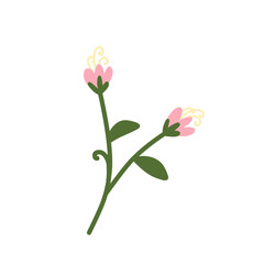 Botanical flower.flower doodle.cartoon flower.