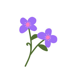 Botanical flower.flower doodle.cartoon flower.