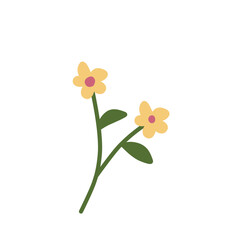 Botanical flower.flower doodle.cartoon flower.