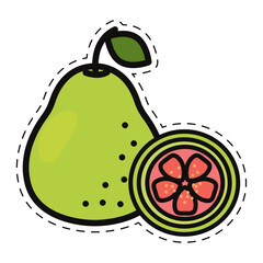 Isolated colored guava fruit icon Flat style Vector