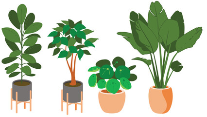 cute elements of indoor plant vector illustration set