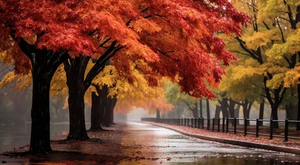 Fototapete Rot  violett autumn in the park, trees in the park, autumn seasone, autumn scene in the park, beautiful trees in autumn
