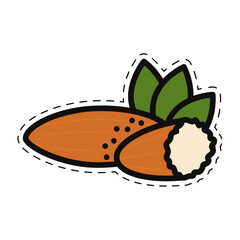 Isolated colored fruit icon Flat style Vector
