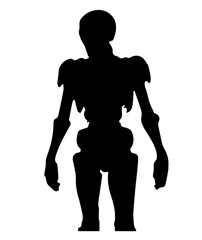 Abstract silhouette of a human skeleton