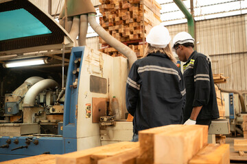 Fototapeta premium Both workers work in a woodworking factory, Working with wood sawing and cutting machines to produce wooden sheets for making pallets