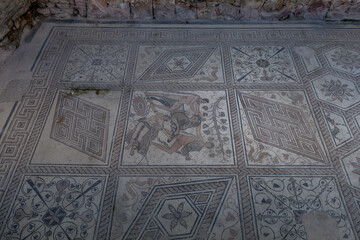 Roman mosaic Punishment of Queen Dirke in Pula
