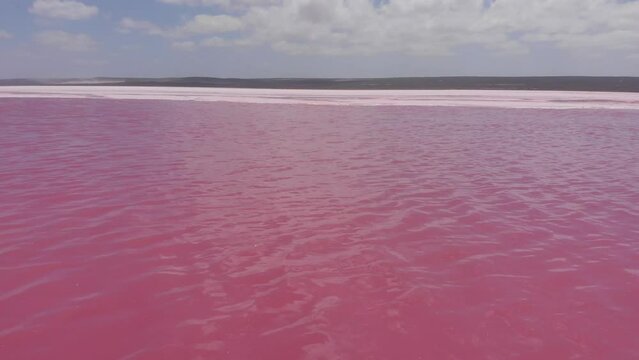 Drone flying closely over the water of the beautiful and amazing pink-colored lake in Western Australia called 'Hutt Lagoon'. Aerial shot of a stunning pink salt lake close to Geraldton, WA.