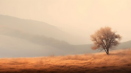 Herbstliche Stille: Ein einsamer Baum in der Landschaft