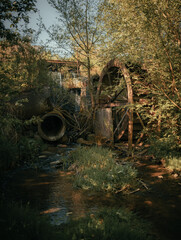 Stary młyn w Płocku, Polska © Sebastian