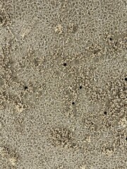 Sand