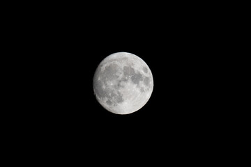 full moon in the night