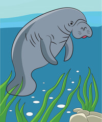 Cartoon manatee swimming underwater with seagrass vector illustration