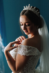 Portrait of an elegant and beautiful bride. Modern style. Diadem on the girl's head. Perfect makeup...