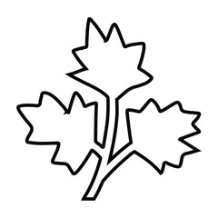 Parsley, herbs, spices icon