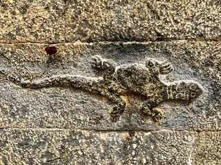 Bas relief sculpture of Lizard. Bas relief ancient historical stone sculpture carved on the walls of Shiva temple in Thirumullaivoyal, Tamilnadu.