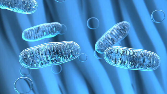 Cellular organelles, mitochondria on a blue background. 3d illustration