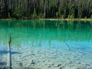 reflections in the water