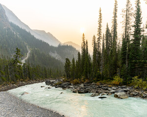 Yoho River in the mountains