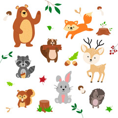 Cute forest animals in cartoon style. Nature forest. 
Bear, fox, squirrel, hedgehog, hare, raccoon. Vector illustration
