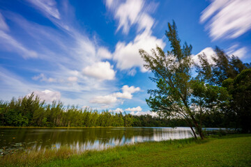 Long exposure nature scene with motion blur