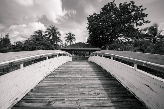 Old wooden bridge in the park black and white