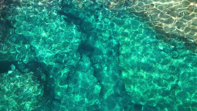 scene in the sea