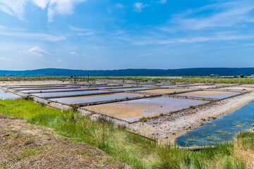 A close up of crystallisation pools at the salt pans at Secovlje, near to Piran, Slovenia in summertime