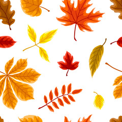 Pattern with autumn leaves. Background with various foliage.