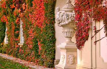 old stone statue and wall with creeper plant in autumn Vienna Austria